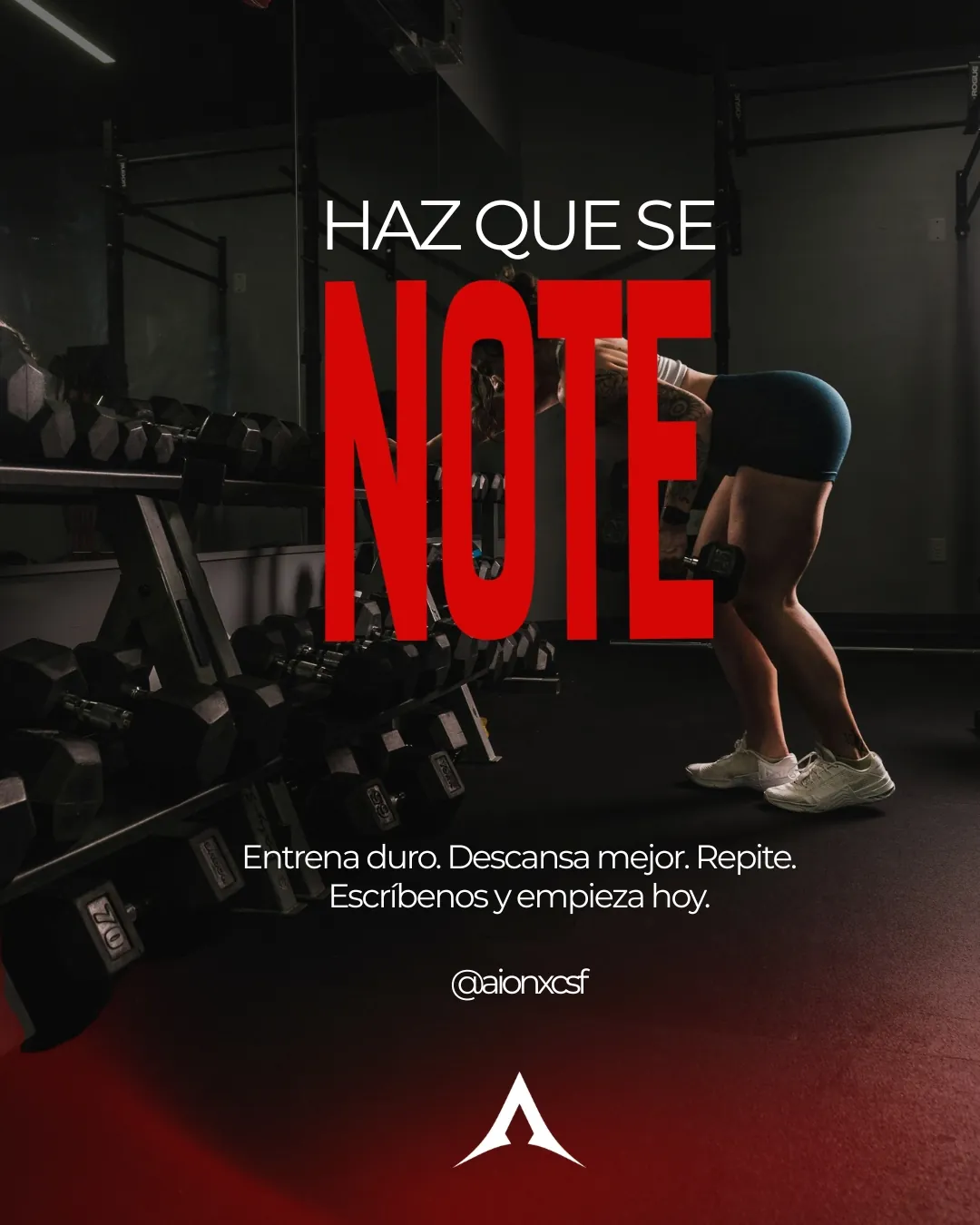 Entrenamiento personalizado — AIONXCSF